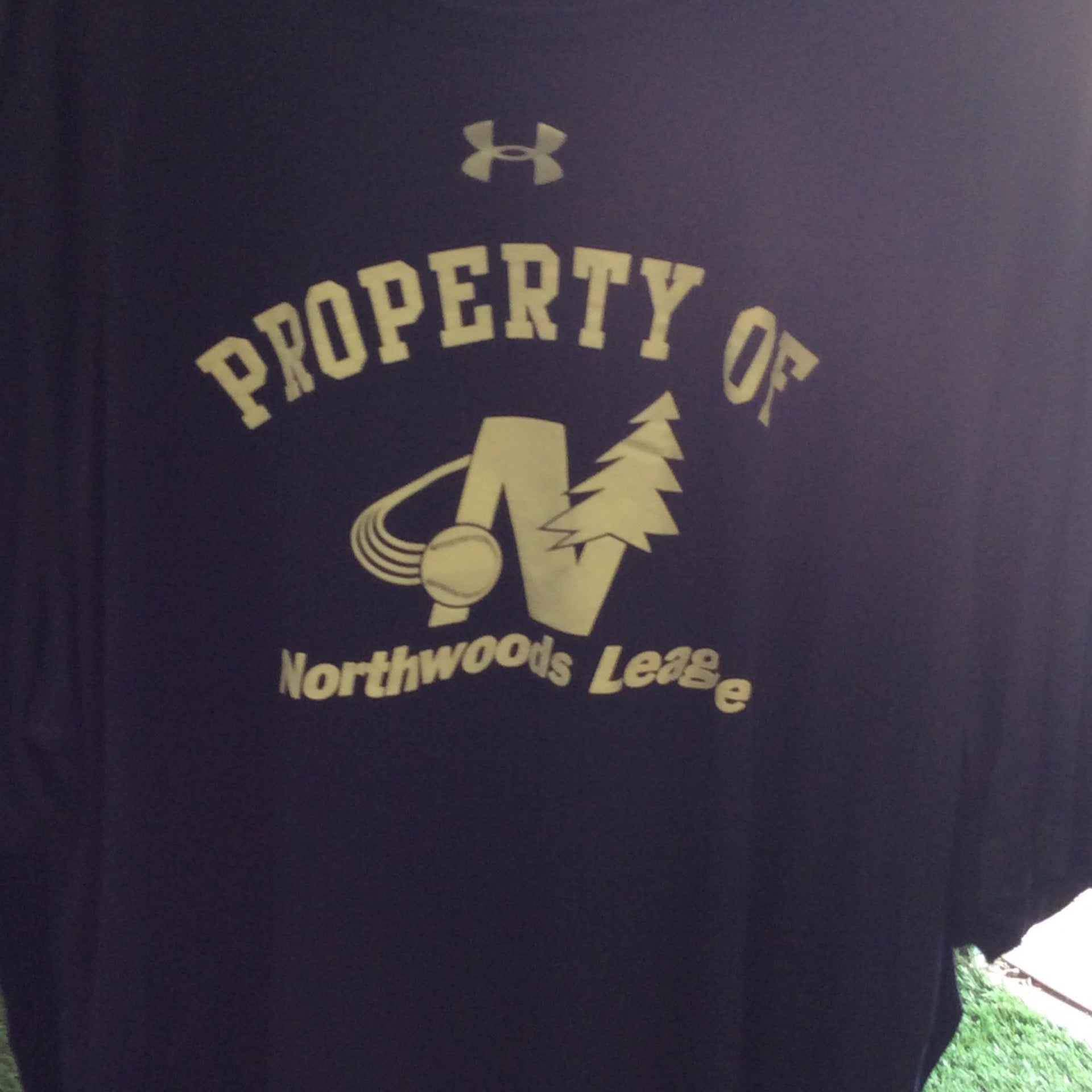 Northwoods League BP Tee | Duluth Huskies Baseball Club